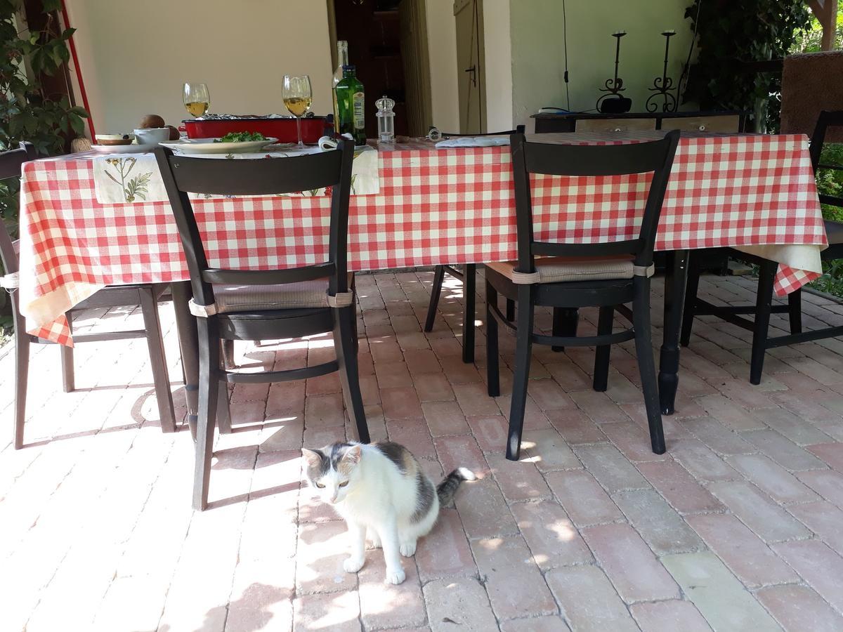 Holiday home Maison Cirmi